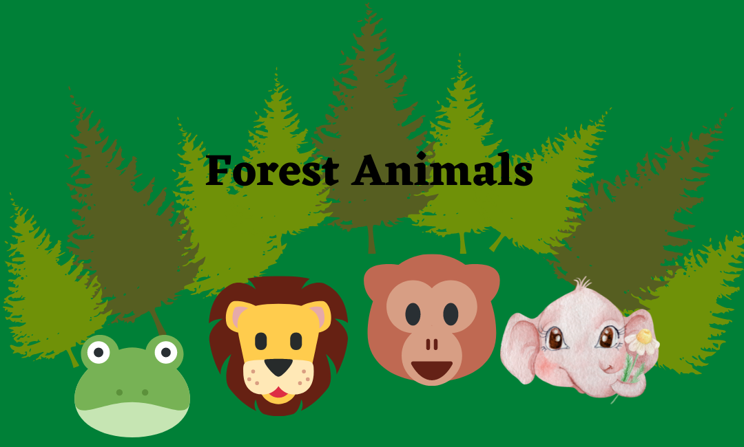 Face of lion, frog, monkey and elephant singing forest music